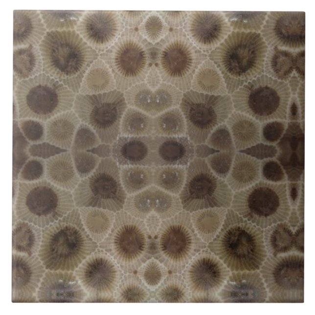 Petoskey Stone Ceramic Tile (Front)