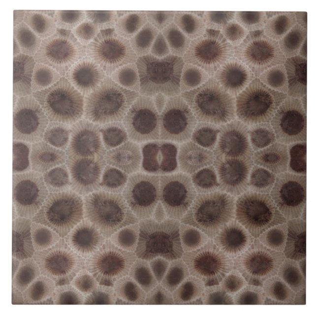 Petoskey Stone Ceramic Tile (Front)