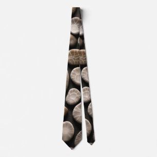 Petoskey Stone Collection Tie