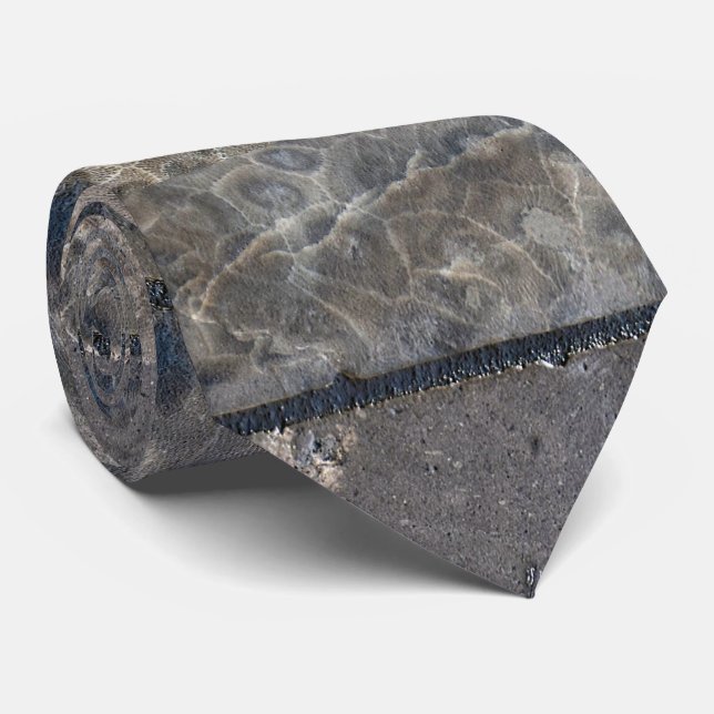 petoskey stone macro background tie (Rolled)