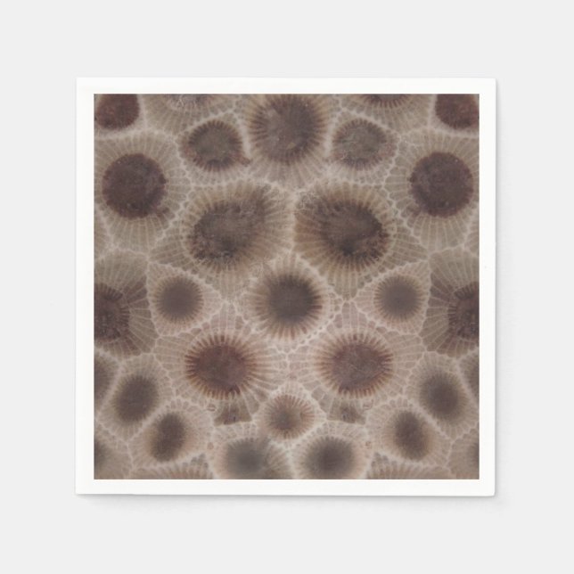Petoskey Stone michigan state stone fossil Napkin (Front)