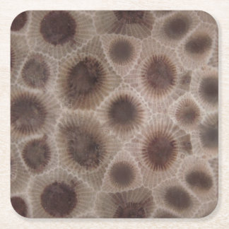 Petoskey Stone michigan state stone fossil Square Paper Coaster