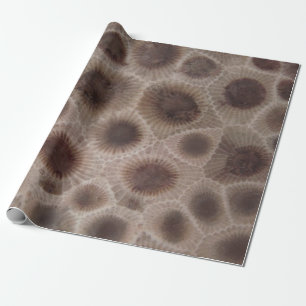 Petoskey Stone michigan state stone fossil Wrapping Paper