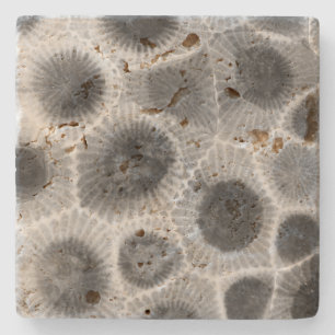 Petoskey Stone Pattern Coaster