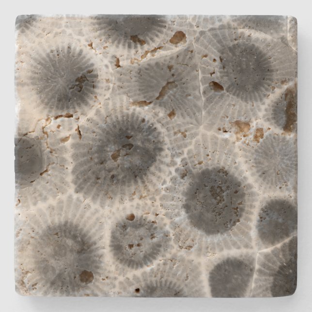 Petoskey Stone Pattern Coaster (Front)