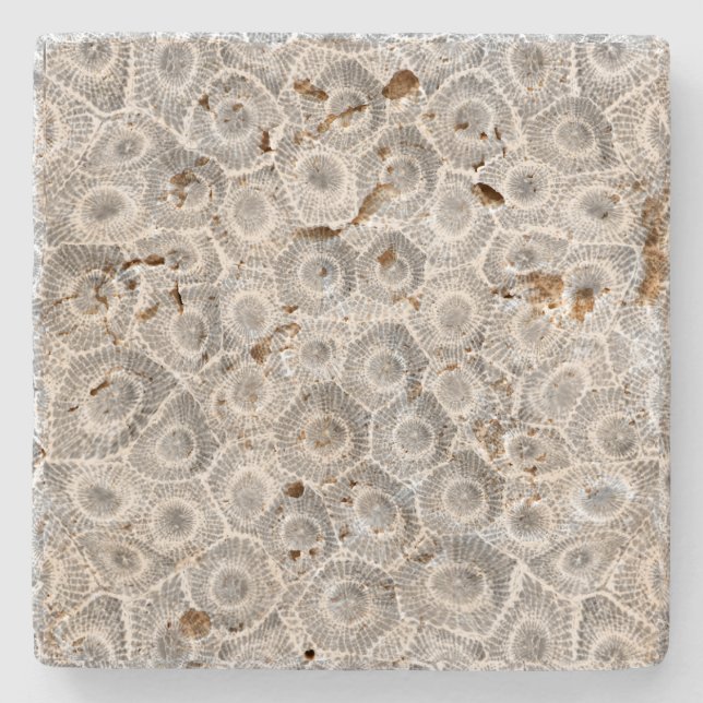 Petoskey Stone Pattern Stone Coaster (Front)