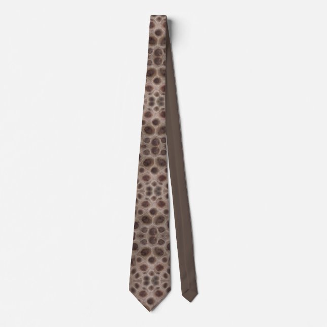 Petoskey Stone Tie (Front)