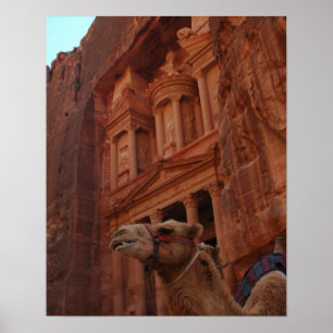 Petra Camel Print
