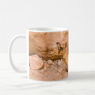 Petra - Jordan Mug