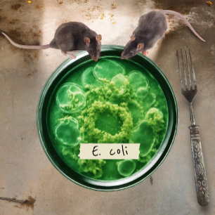 Petri Dish Paper Plates, 7" Round Paper Plate