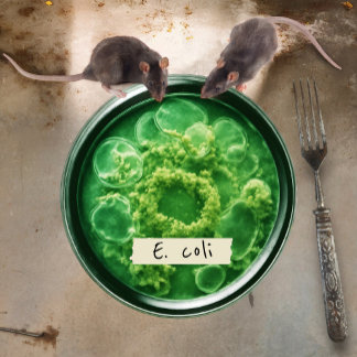 Petri Dish Paper Plates, 7" Round Paper Plate