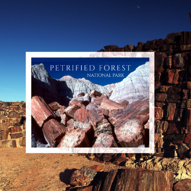 Petriefied Logs, Petrified Forest NP, Arizona Postcard (Creator Uploaded)