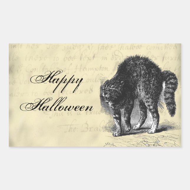 Petrified Cat Halloween Rectangular Sticker (Front)