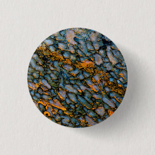 Petrified Dinosaur Bone 3 Cm Round Badge