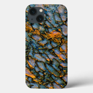 Petrified Dinosaur Bone iPhone 13 Case