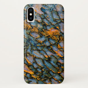 Petrified Dinosaur Bone iPhone X Case