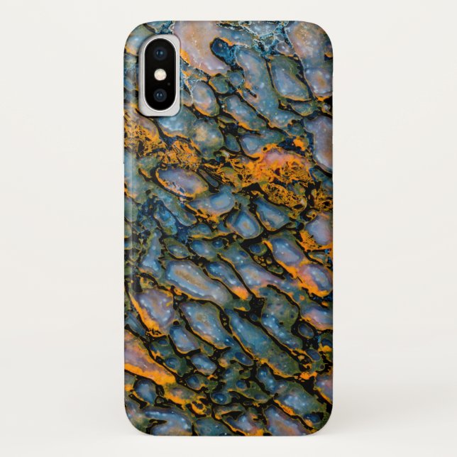 Petrified Dinosaur Bone Case-Mate iPhone Case (Back)