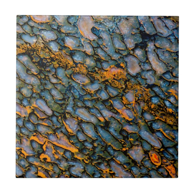 Petrified Dinosaur Bone Ceramic Tile (Front)