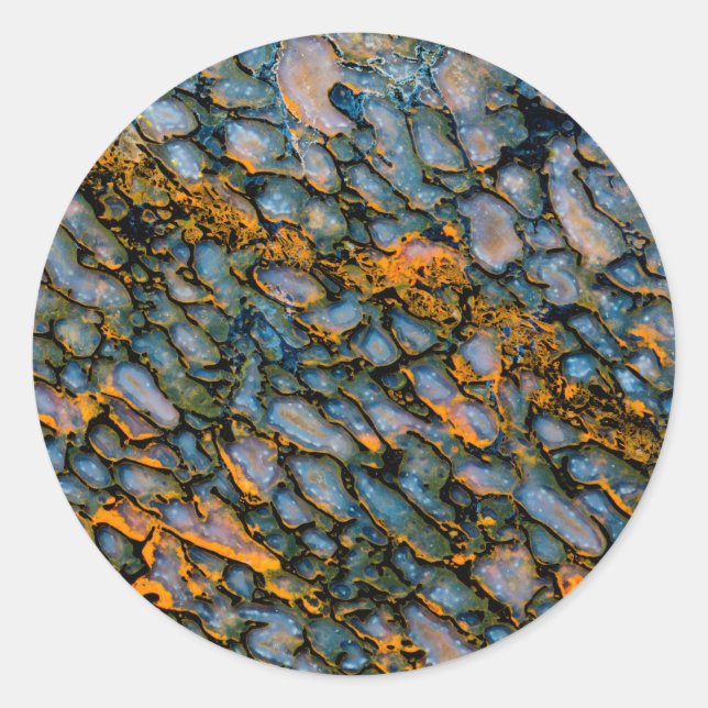 Petrified Dinosaur Bone Classic Round Sticker (Front)