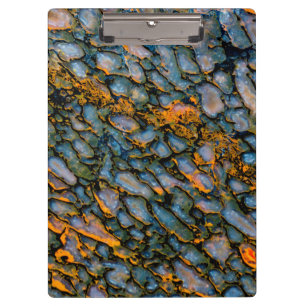 Petrified Dinosaur Bone Clipboard