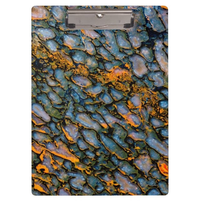 Petrified Dinosaur Bone Clipboard (Front)