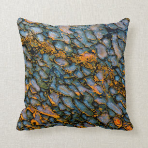 Petrified Dinosaur Bone Cushion