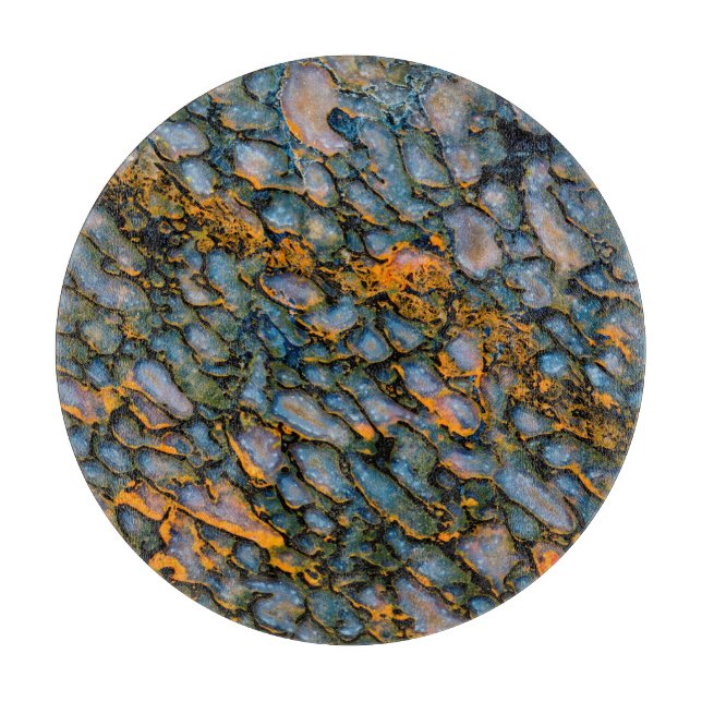 Petrified Dinosaur Bone Cutting Board (Front)