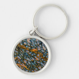 Petrified Dinosaur Bone Key Ring