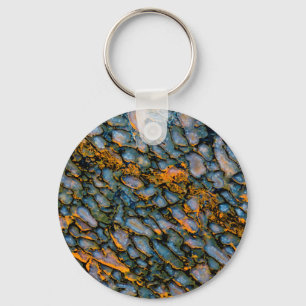 Petrified Dinosaur Bone Key Ring