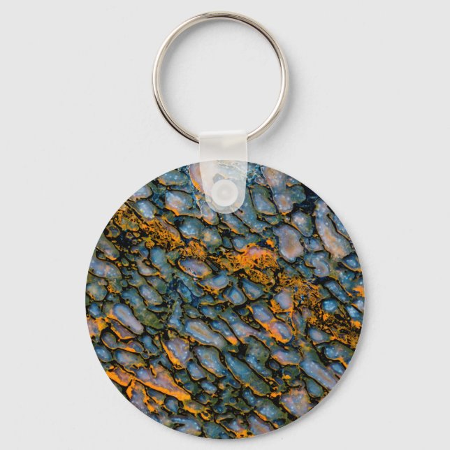 Petrified Dinosaur Bone Key Ring (Front)