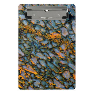 Petrified Dinosaur Bone Mini Clipboard