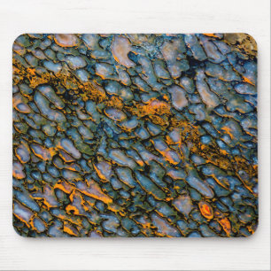 Petrified Dinosaur Bone Mouse Pad