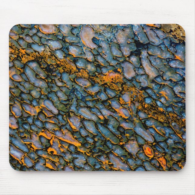 Petrified Dinosaur Bone Mouse Pad (Front)