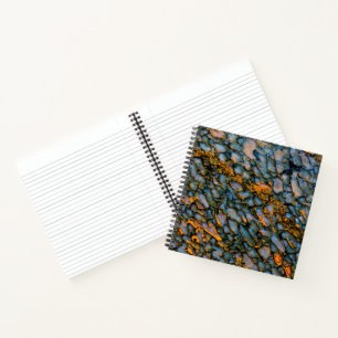Petrified Dinosaur Bone Notebook