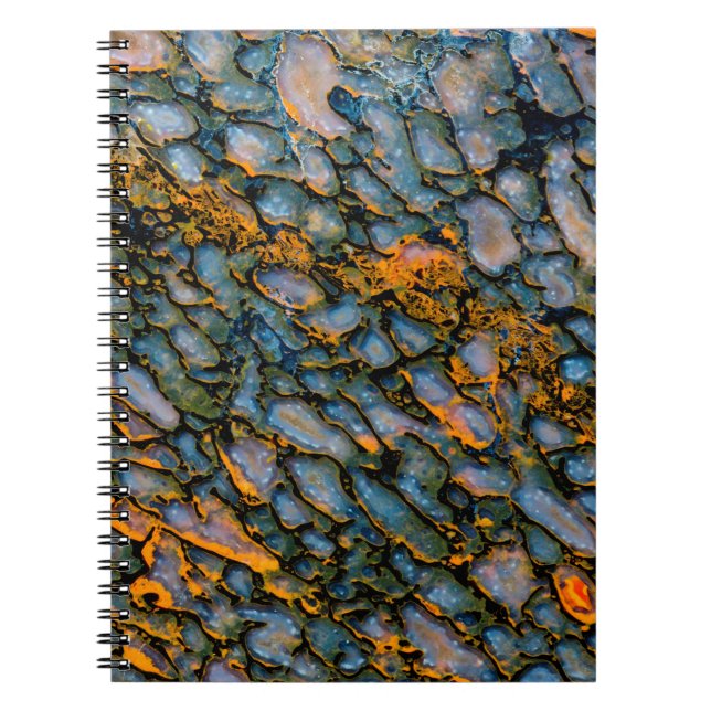 Petrified Dinosaur Bone Notebook (Front)