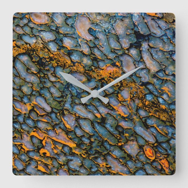 Petrified Dinosaur Bone Square Wall Clock (Front)