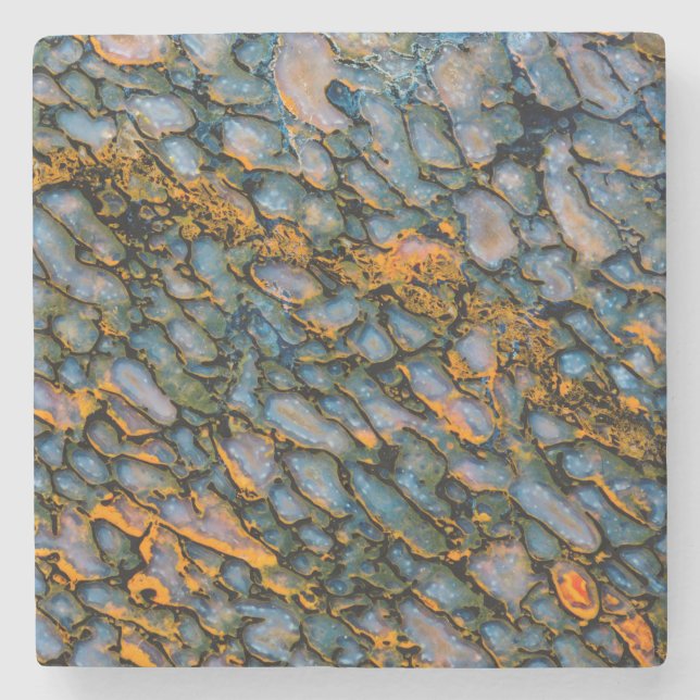Petrified Dinosaur Bone Stone Coaster (Front)