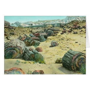 Petrified Forest