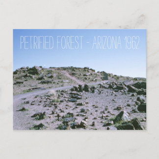 Petrified Forest Arizona 1962 Postcard