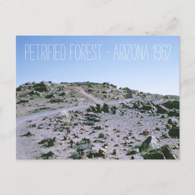 Petrified Forest Arizona 1962 Postcard (Front)