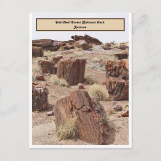 Petrified Forest, AZ, Vertical Postcard