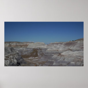 Petrified Forest Badlands Poster