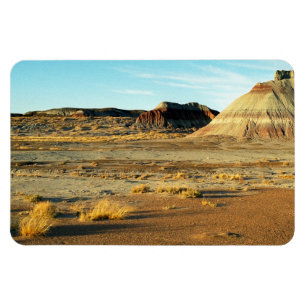 Petrified Forest Desert Arizona Landscape Photo Magnet