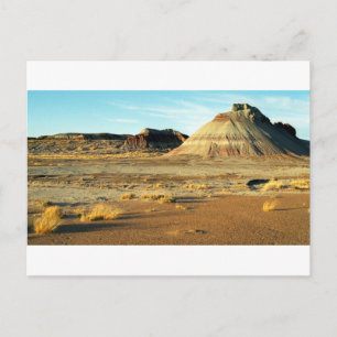 Petrified Forest Desert Arizona Landscape Photo Postcard