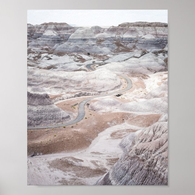 Petrified Forest, Desolate Landscape Photo Poster (Front)
