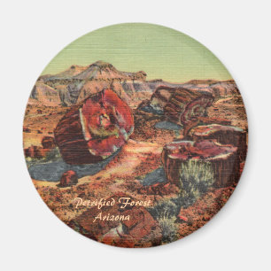 Petrified Forest Magnet