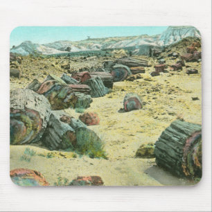 Petrified Forest Mouse Pad