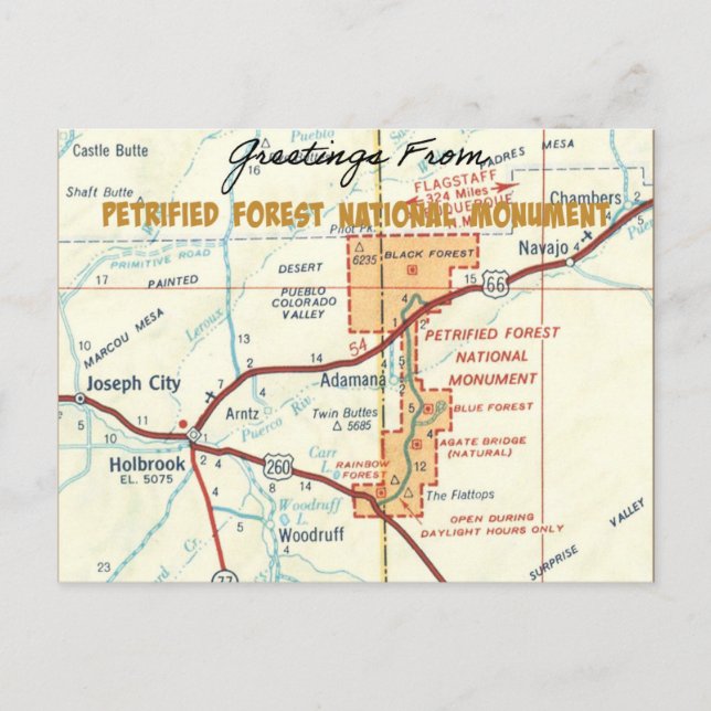 Petrified Forest National Monument  Postcard (Front)