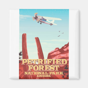 Petrified forest national park, Arizona. Magnet
