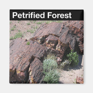 Petrified Forest National Park Magnet